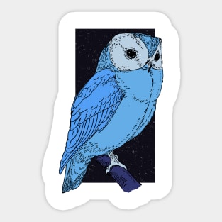 Night Owl Sticker